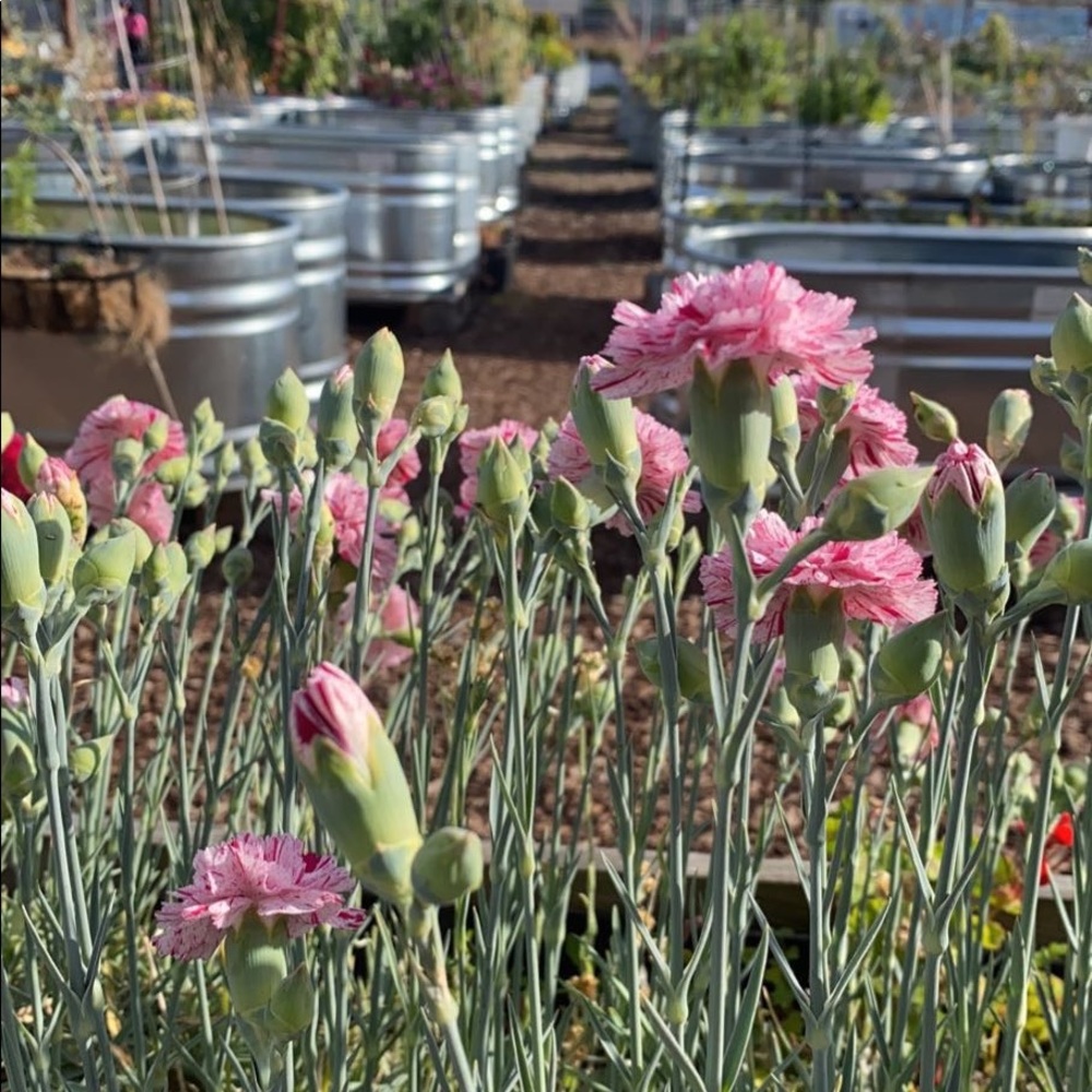 Meet your Posher, Ruby